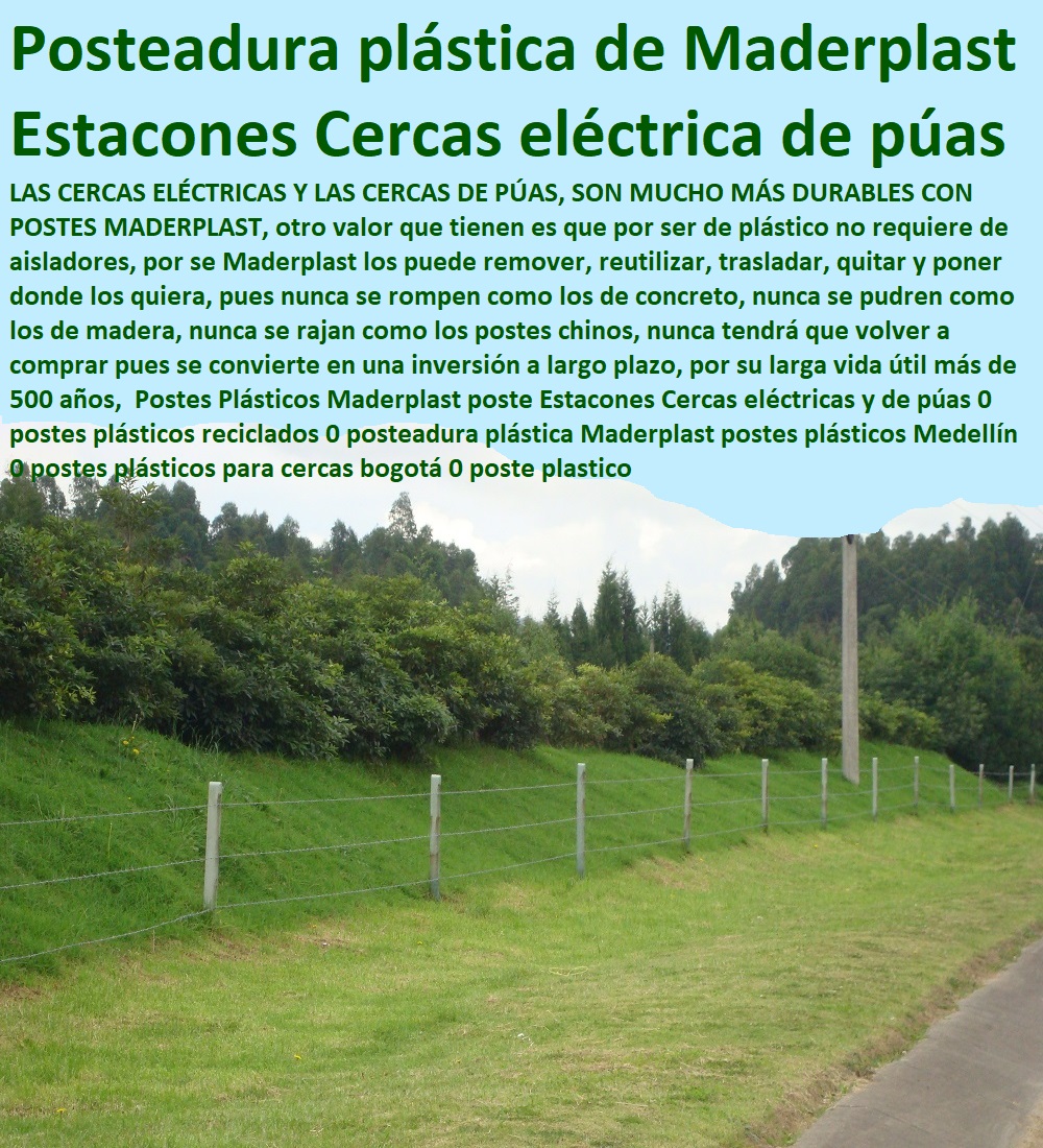 Postes Plásticos Maderplast poste Estacones Cercas eléctricas y de púas 0 postes plásticos reciclados 0 posteadura plástica Maderplast postes plásticos Medellín 0 postes plásticos para cercas bogotá 0 poste plástico Postes Plásticos Maderplast poste Estacones Cercas eléctricas y de púas 0 postes plásticos reciclados 0 posteadura plástica Maderplast postes plásticos Medellín 0 postes plásticos para cercas bogotá 0 poste plastico Postes Plásticos Maderplast poste Estacones Cercas eléctricas y de púas 0 postes plásticos reciclados 0 posteadura plástica Maderplast postes plásticos Medellín 0 postes plásticos para cercas bogotá 0 poste plastico